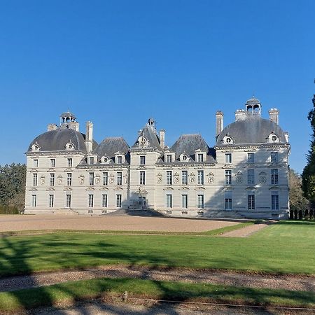 Trainefeuilles - Chambres D'Hotes Proche Zoo De Beauval Le Controis-en-Sologne Екстериор снимка