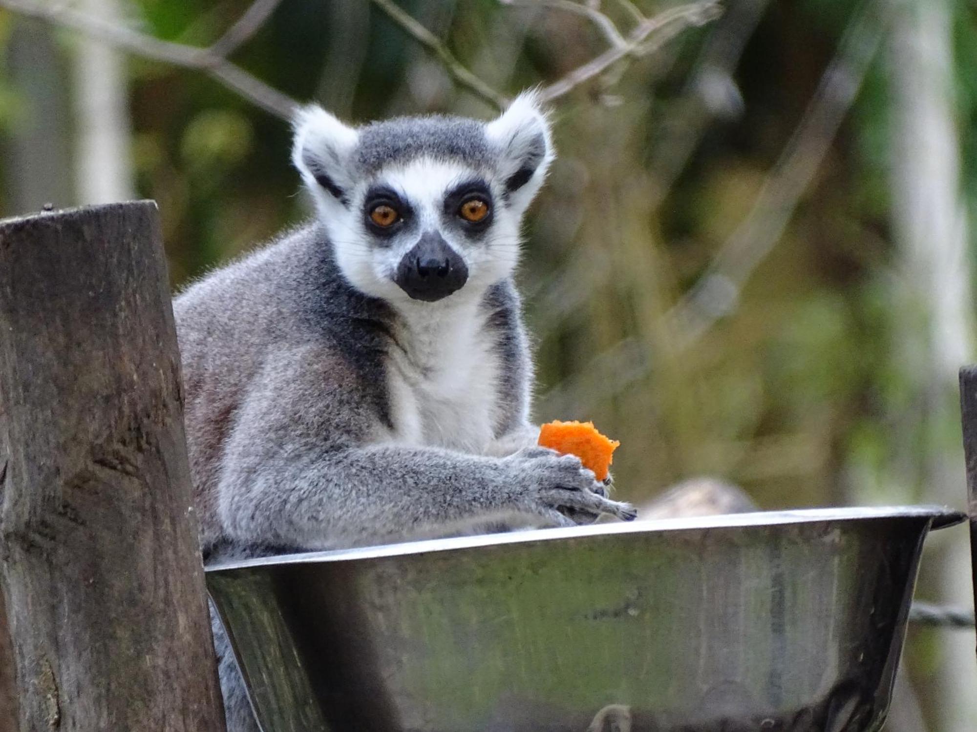 Trainefeuilles - Chambres D'Hotes Proche Zoo De Beauval Le Controis-en-Sologne Екстериор снимка