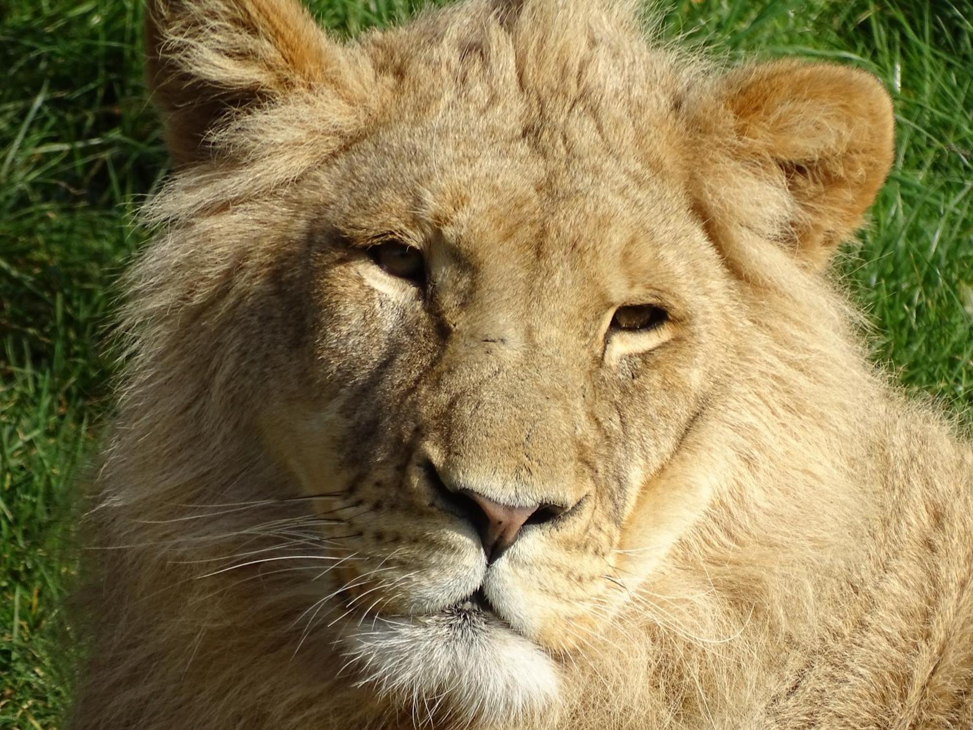 Trainefeuilles - Chambres D'Hotes Proche Zoo De Beauval Le Controis-en-Sologne Екстериор снимка